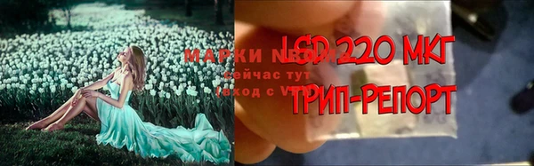 2c-b Балахна