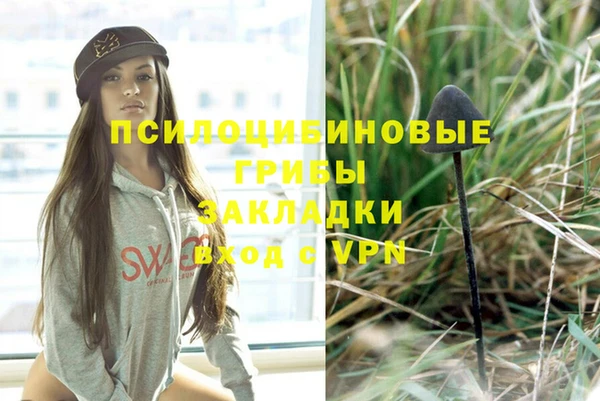 2c-b Балахна
