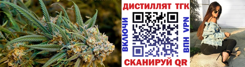 ТГК Wax  Купить  Старица 