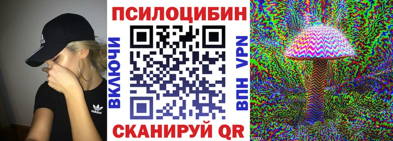 Купить закладки  Старица  Галлюциногенные грибы Psilocybine cubensis 
