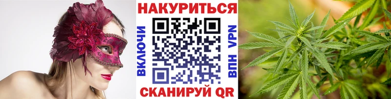 Купить  Старица  Каннабис THC 21% 